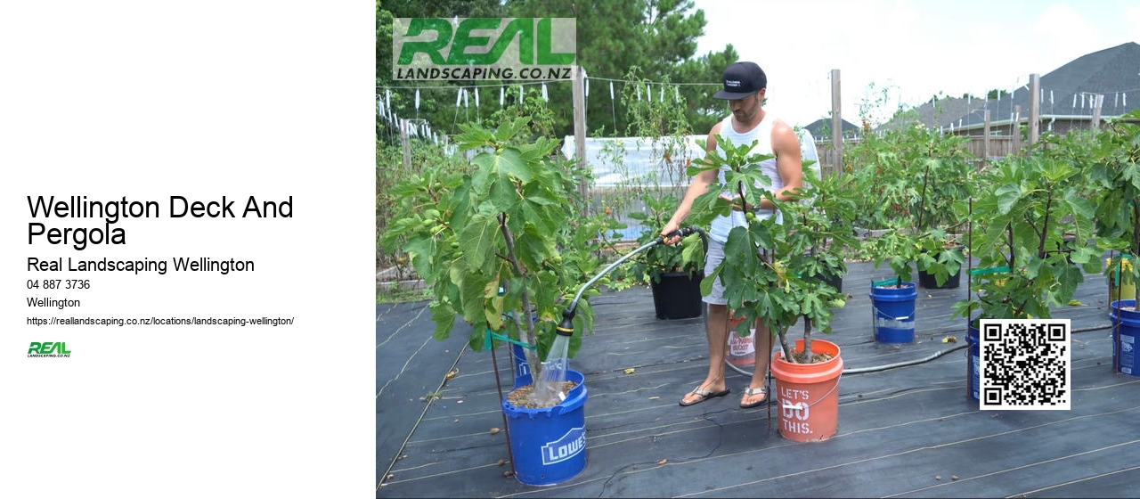 Wellington Garden Drought-tolerant Planting