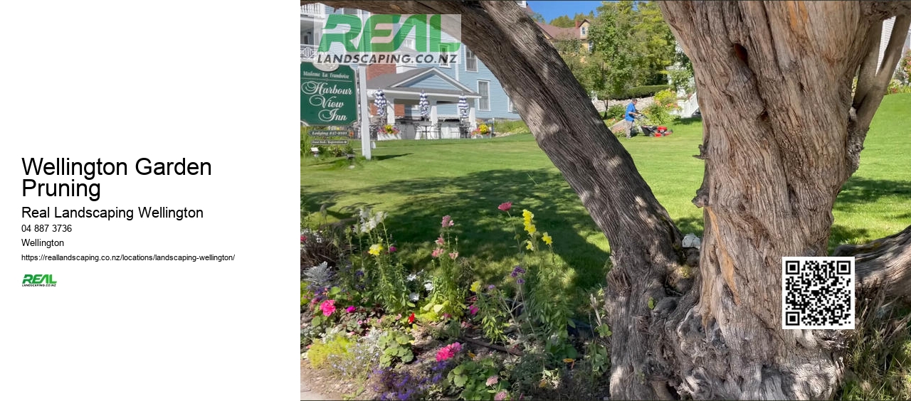 Wellington Garden Pruning